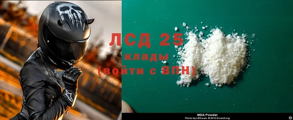 меф Ельня