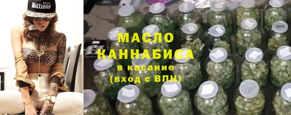 меф Ельня