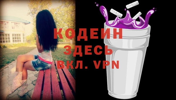 меф Ельня